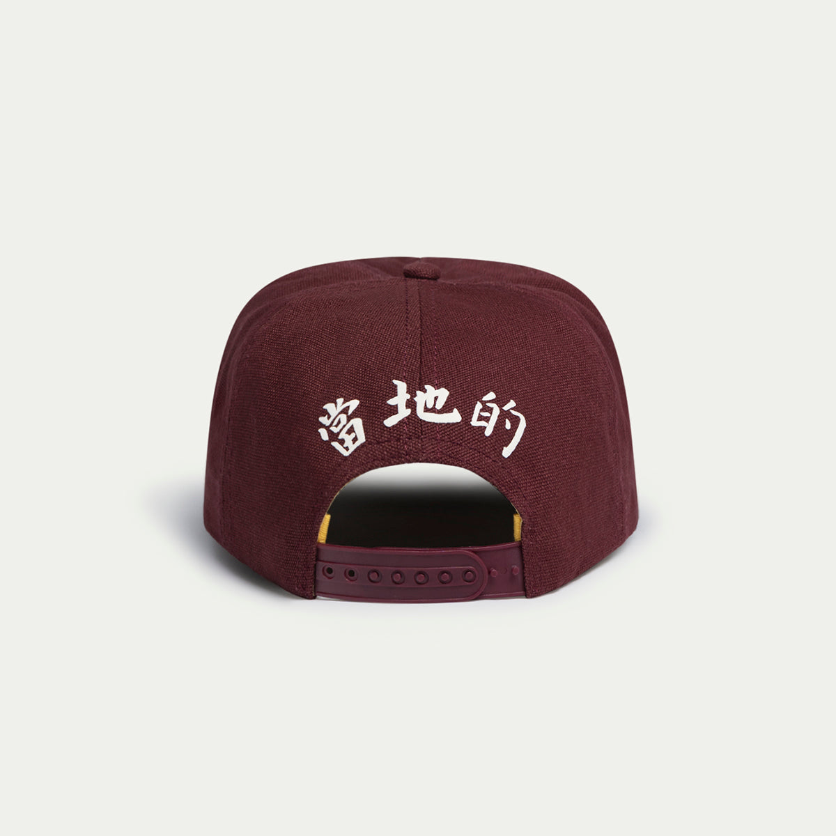 YEAR OF THE SNAKE 2025 | Printed 2025 Snake Cap | Limited