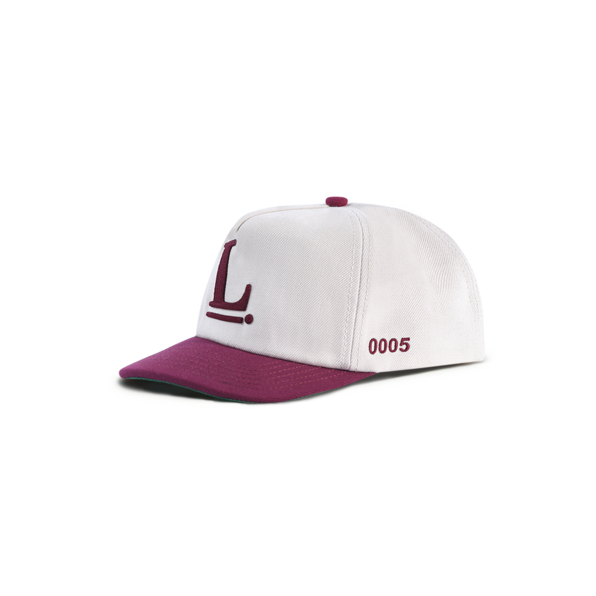 Logo Snapback