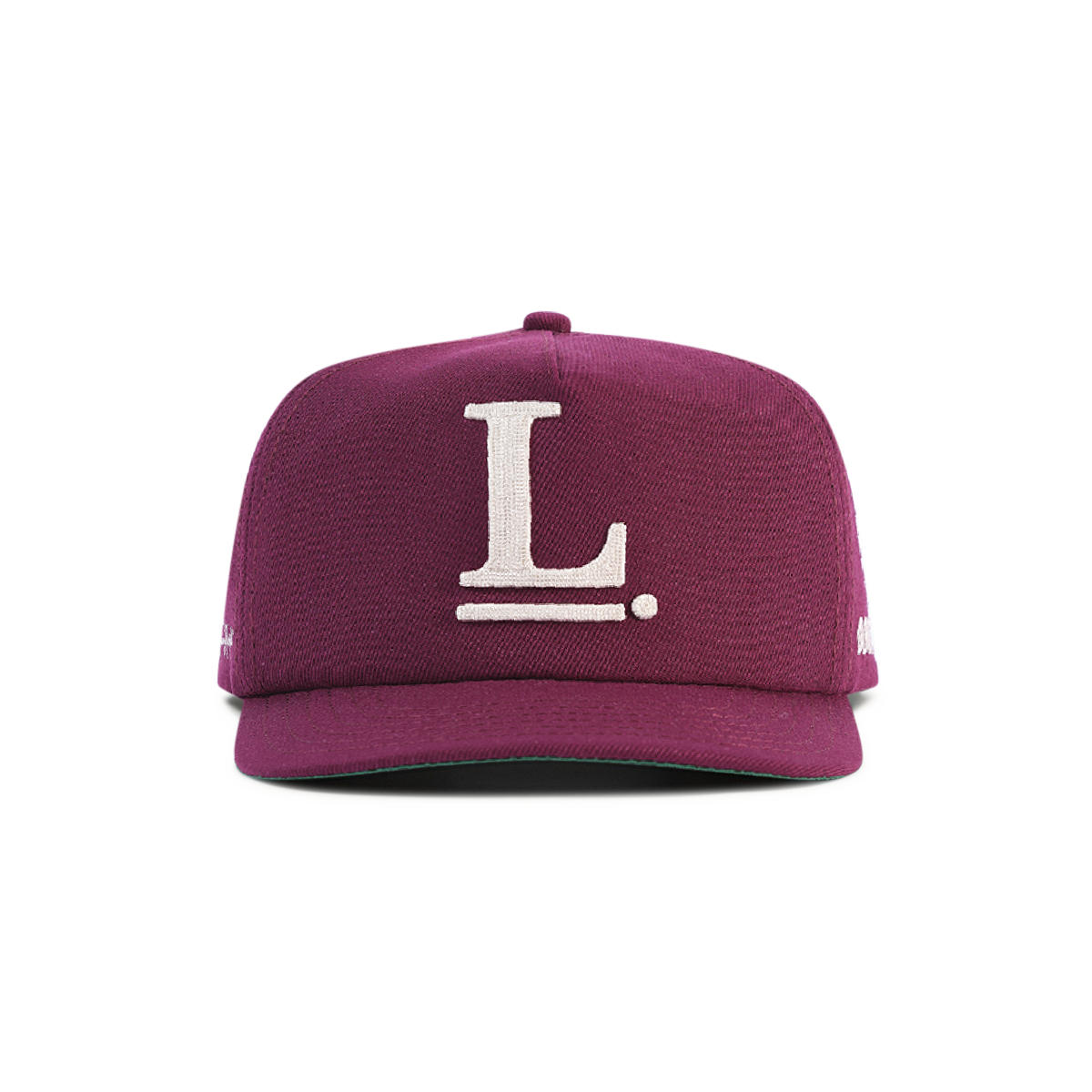 Logo Snapback