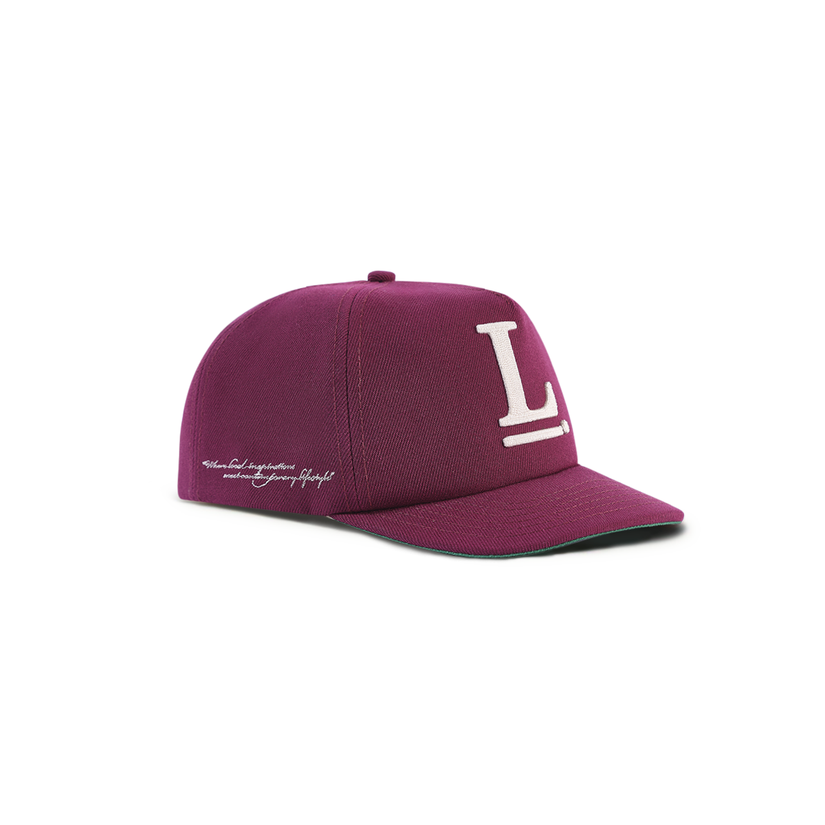 Logo Snapback