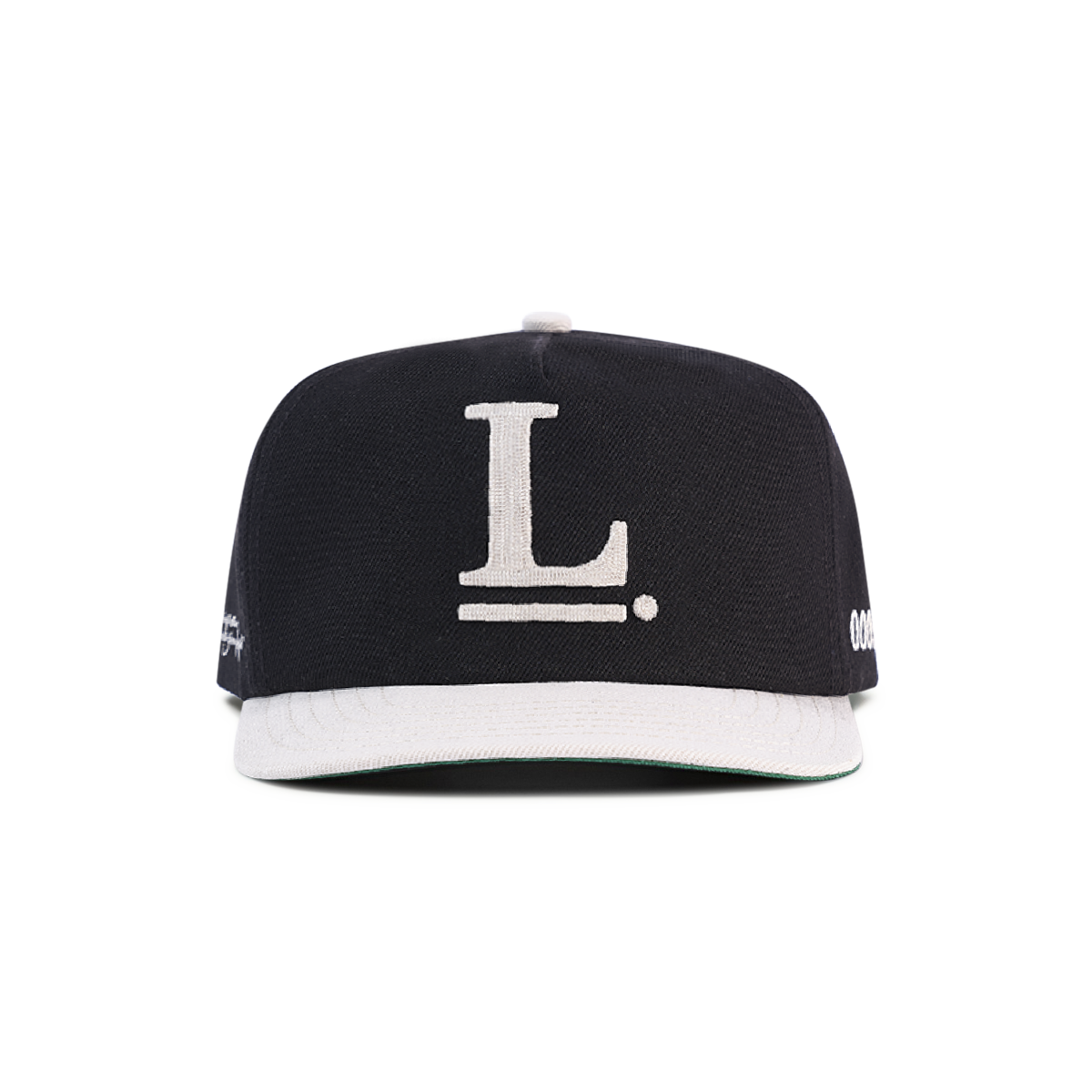 Logo Snapback