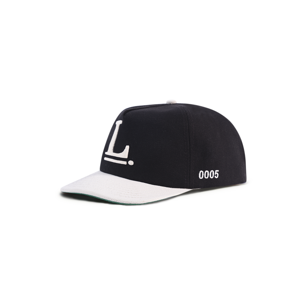 Logo Snapback