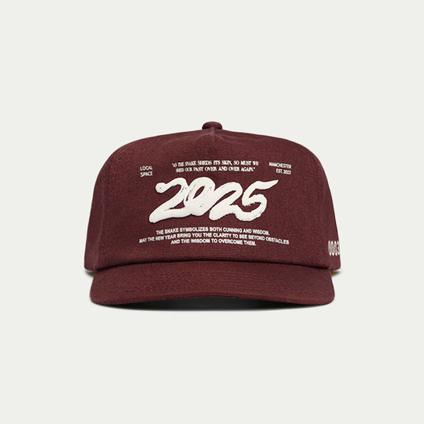 YEAR OF THE SNAKE 2025 | Printed 2025 Snake Cap | Limited