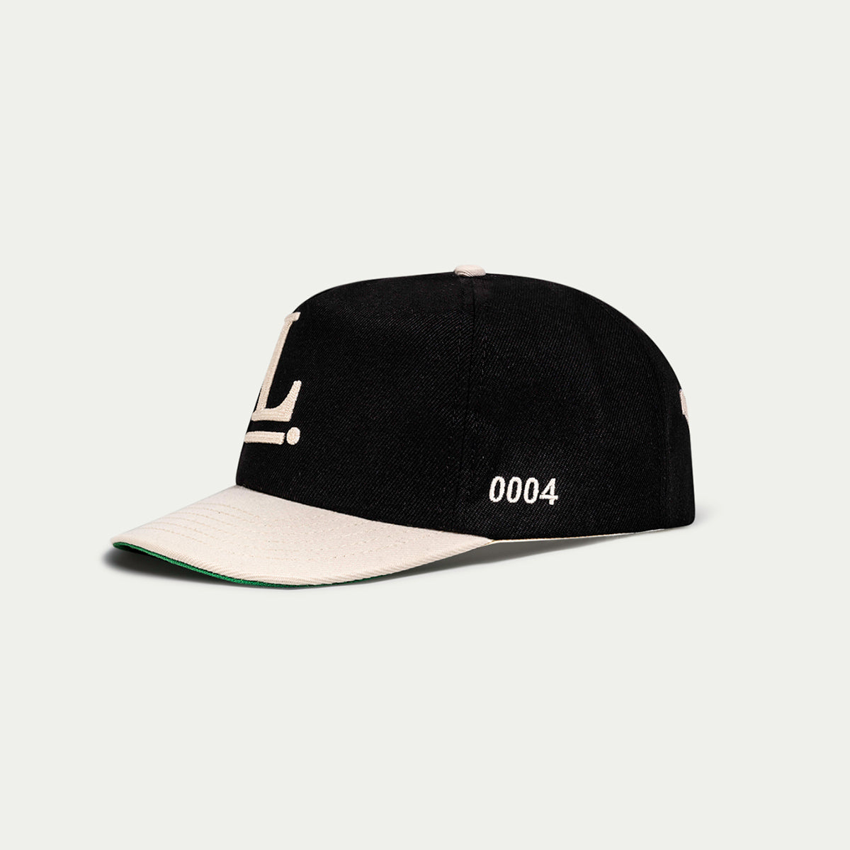 Logo Snapback