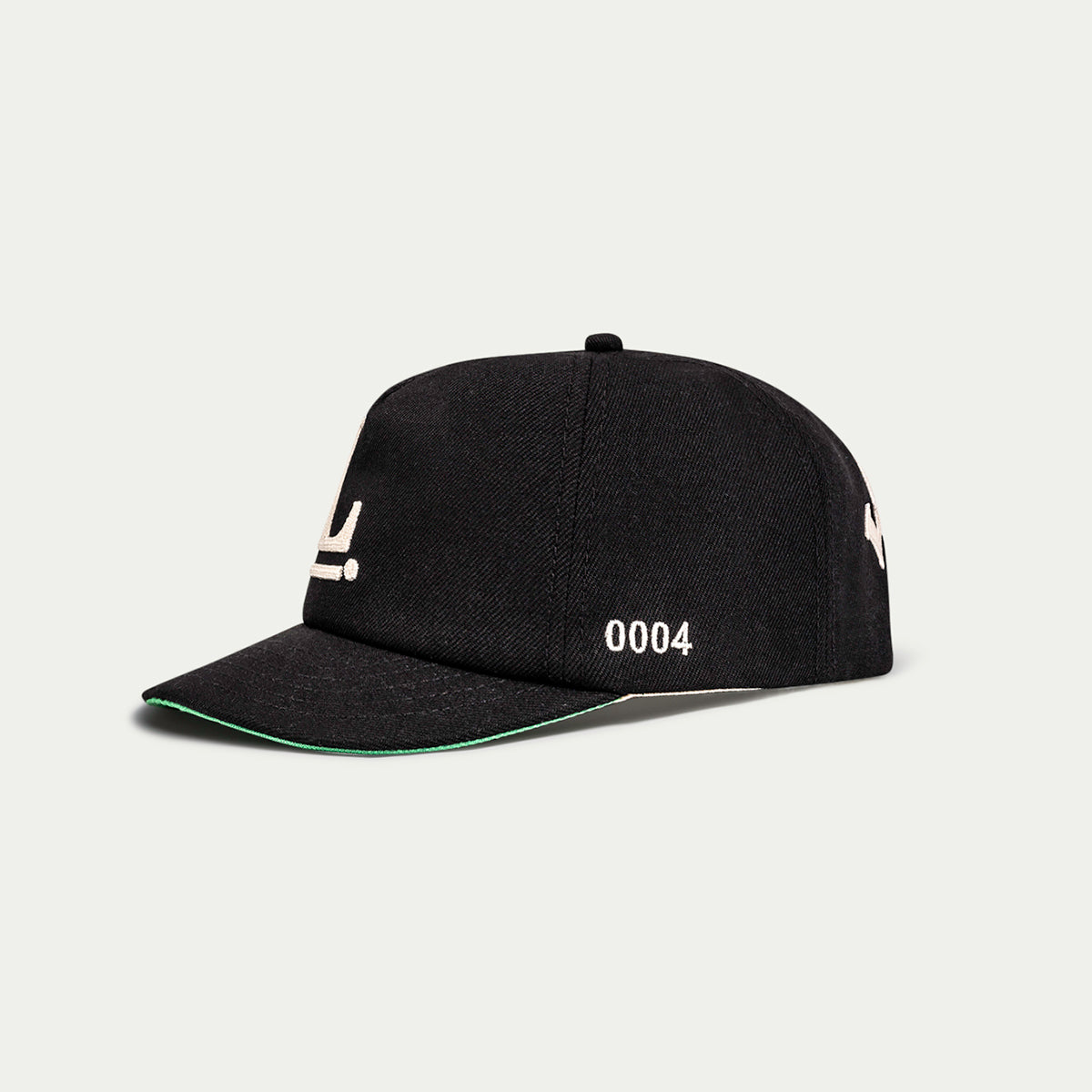 Logo Snapback