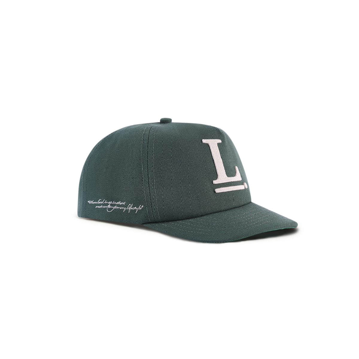 Logo Snapback