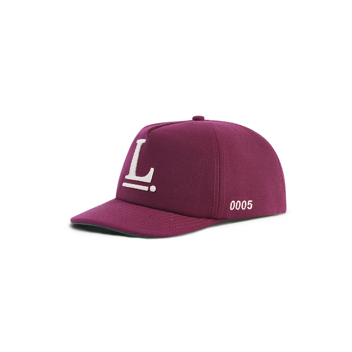 Logo Snapback